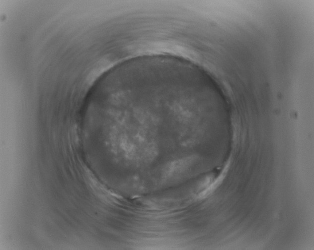 X0000076451497200610202322