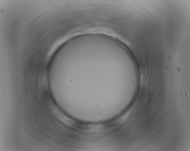 X0000076451498200610202322