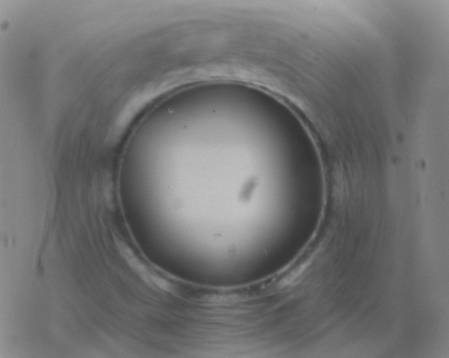 X0000076451499200610202322