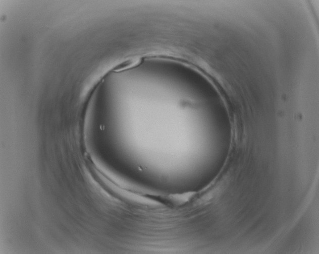 X0000076451500200610202322