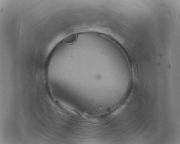 X0000076451501200610202322