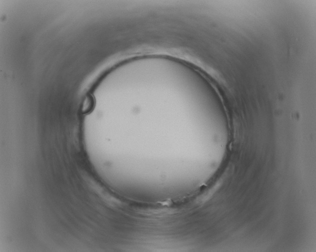 X0000076451502200610202322