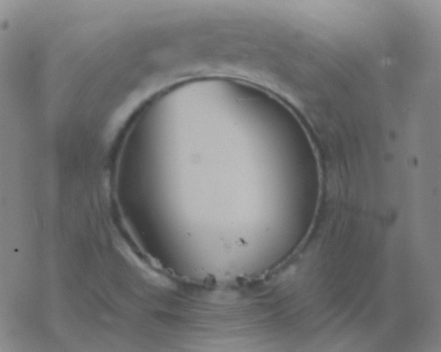 X0000076451503200610202322