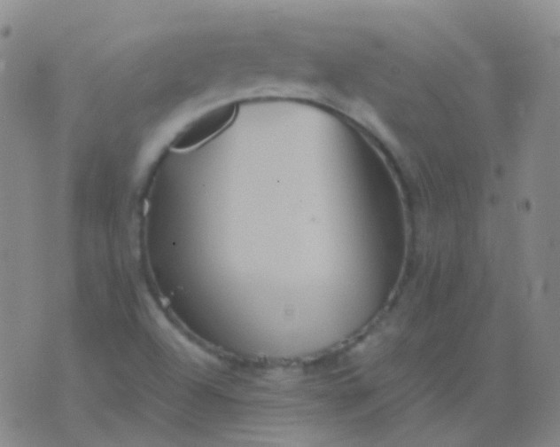 X0000076451504200610202322