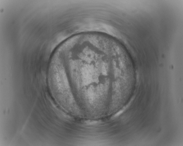 X0000076451505200610202322