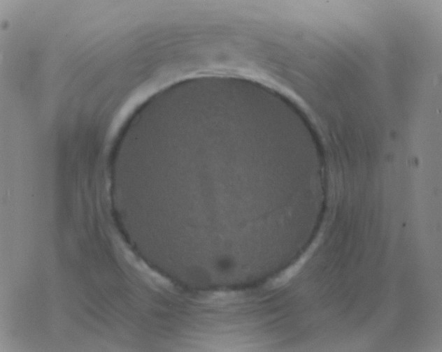 X0000076451506200610202322