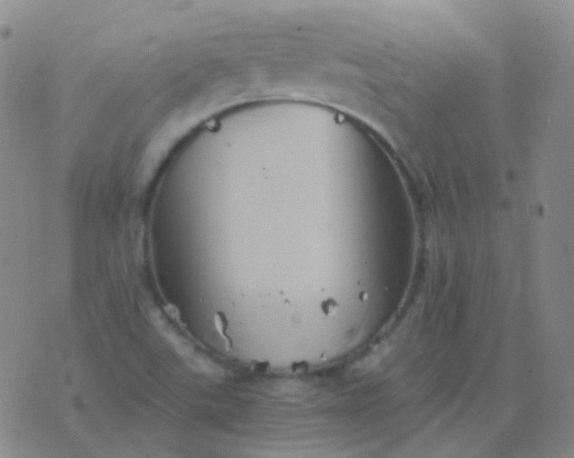 X0000076451507200610202322