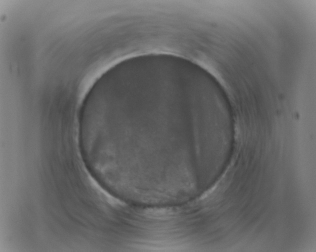 X0000076451508200610202322