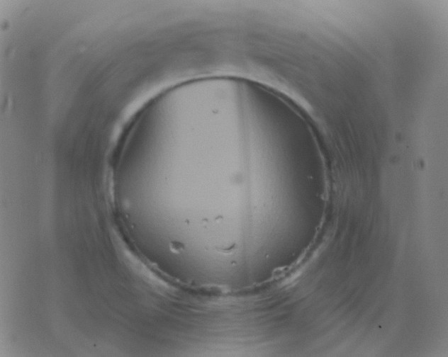 X0000076451510200610202322