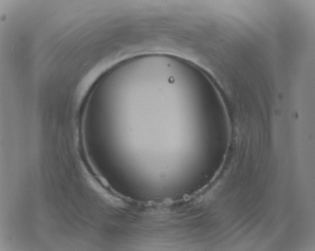 X0000076451511200610202322