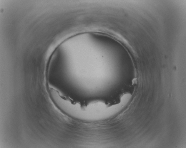 X0000076451512200610202322