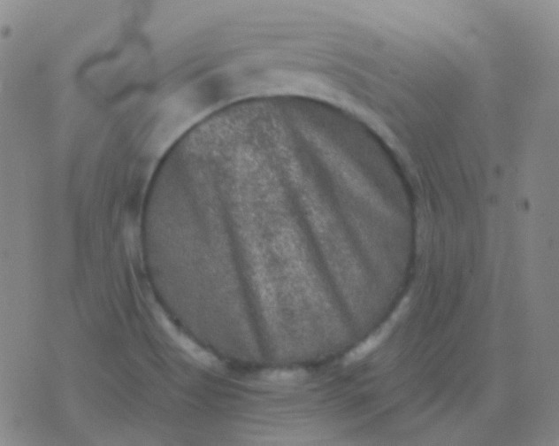 X0000076451513200610202322