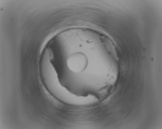 X0000076451514200610202322