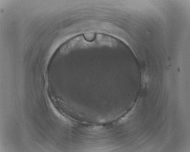 X0000076451515200610202322