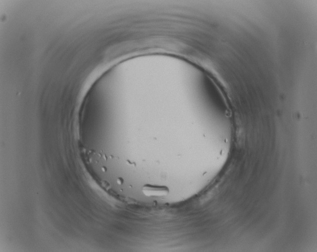 X0000076451516200610202322