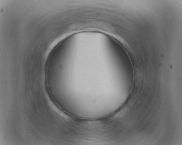 X0000076451518200610202322