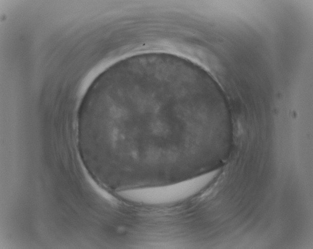 X0000076451519200610202322