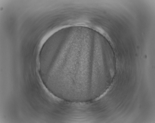 X0000076451520200610202322