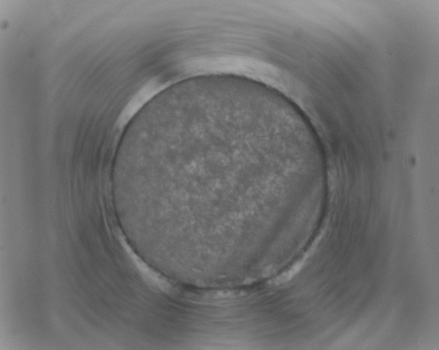 X0000076451521200610202322