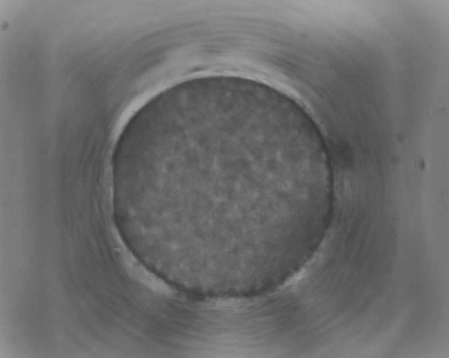 X0000076451522200610202322