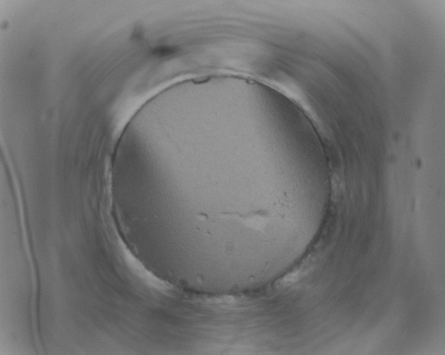 X0000076451524200610202322