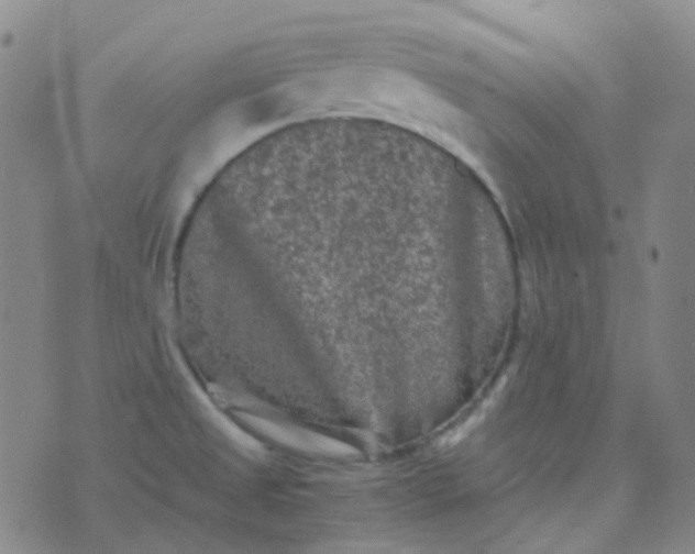 X0000076451525200610202322