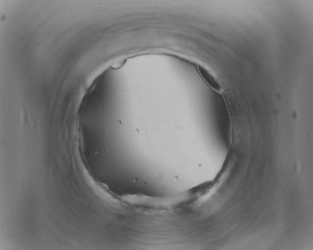 X0000076451526200610202322