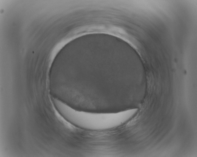 X0000076451527200610202322