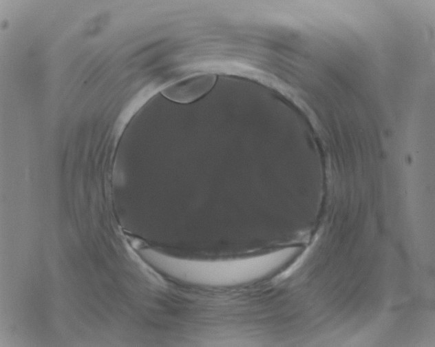 X0000076451529200610202322