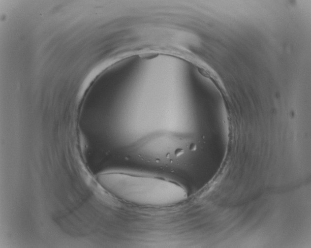 X0000076451530200610202322