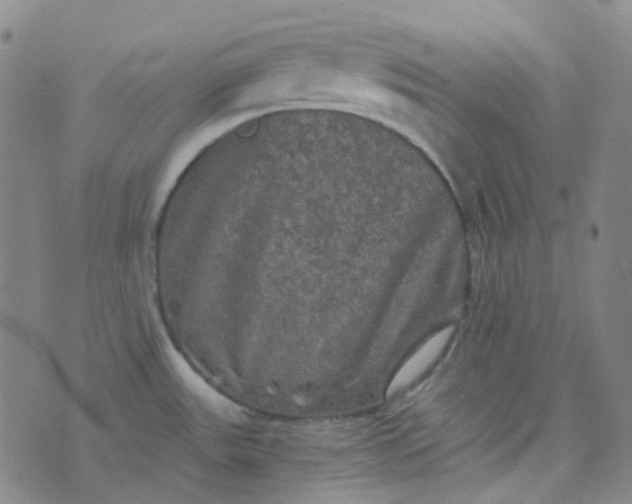 X0000076451531200610202322