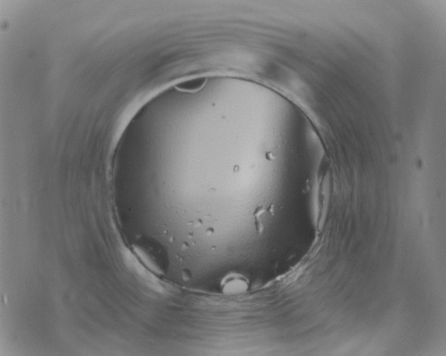 X0000076451532200610202322