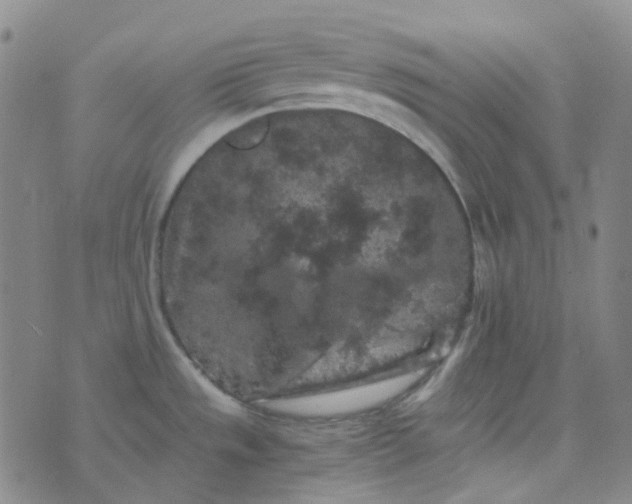 X0000076451533200610202322