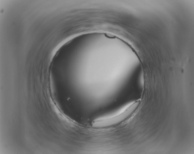 X0000076451534200610202322