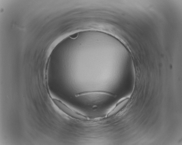 X0000076451535200610202322