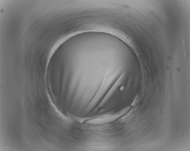 X0000076451536200610202322