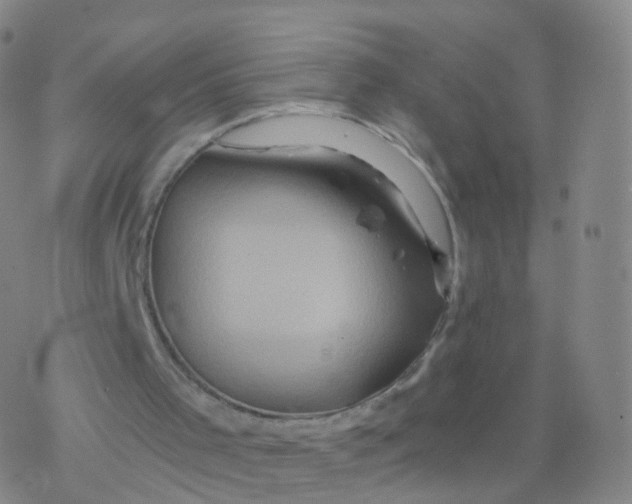 X0000076450001200610271836