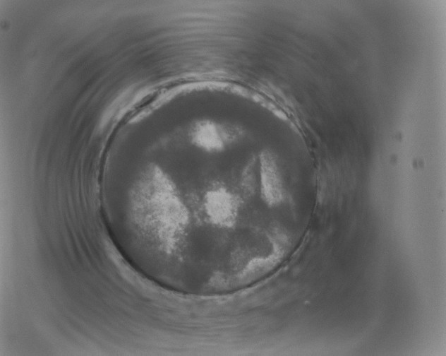 X0000076450002200610271836