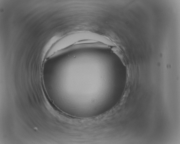 X0000076450003200610271836