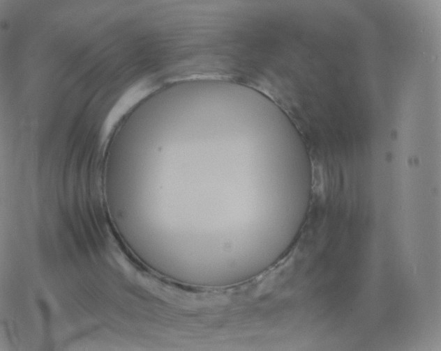 X0000076450004200610271836