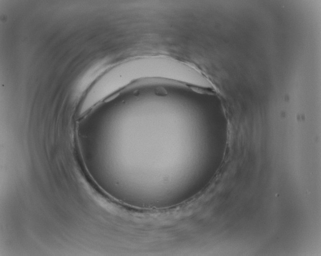 X0000076450005200610271836