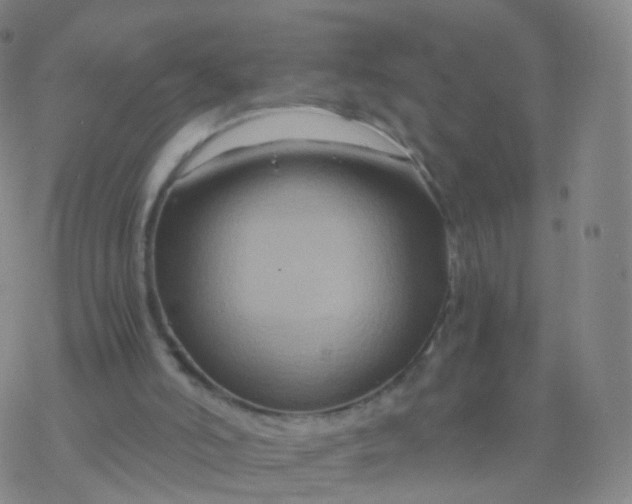 X0000076450006200610271836