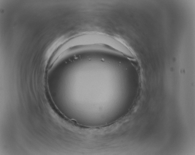 X0000076450007200610271835