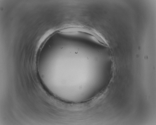 X0000076450008200610271835