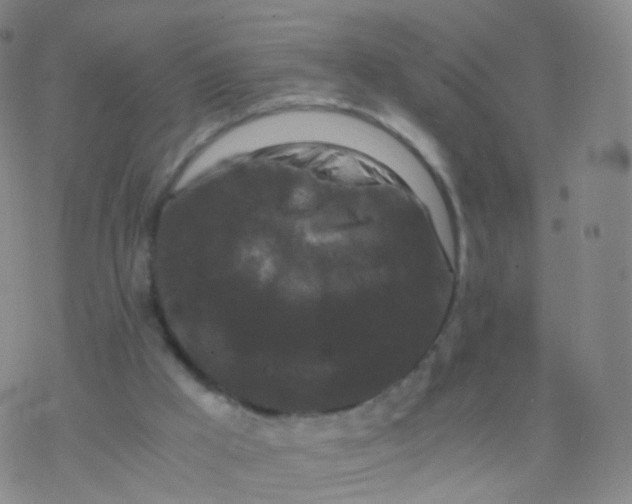 X0000076450009200610271835