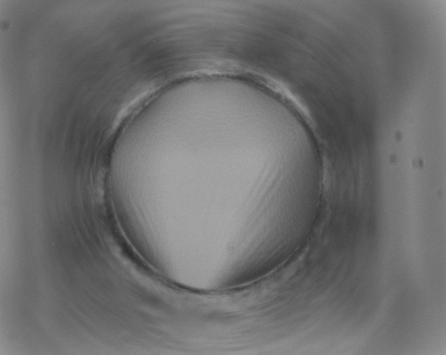 X0000076450010200610271835