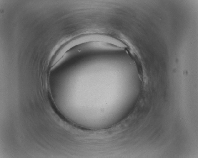 X0000076450011200610271835