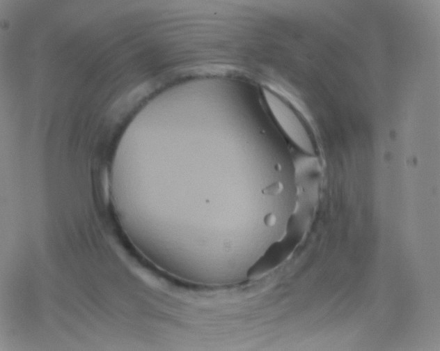 X0000076450013200610271835