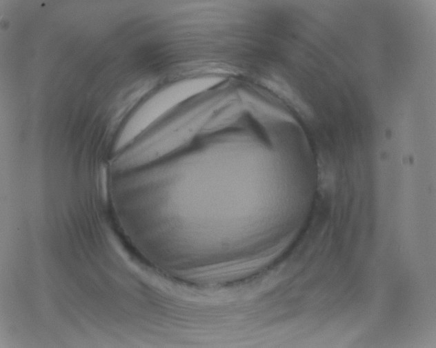 X0000076450014200610271835