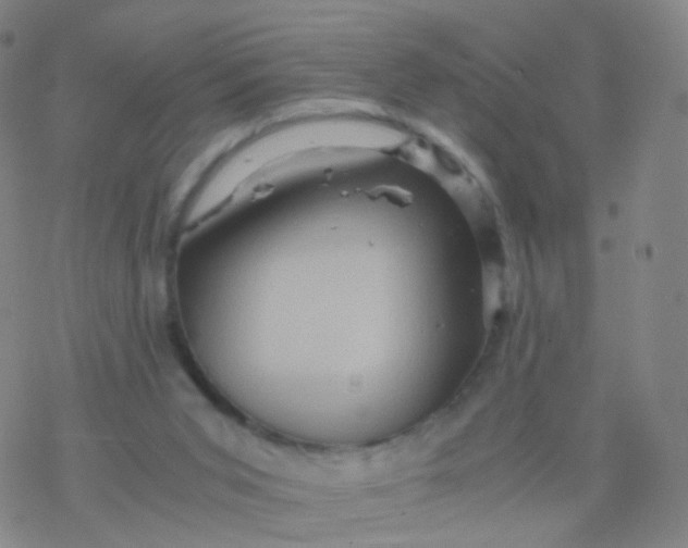 X0000076450015200610271835